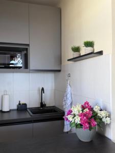Apartments Villa Dinka
