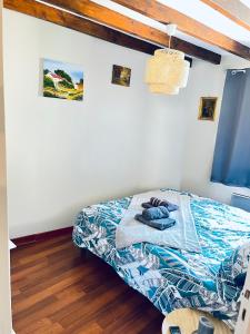 Appartement de la Brèche - Quartier historique Chartres