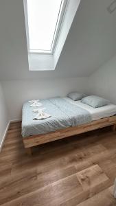 SIMPL hostel - fully renovated in 2026