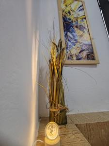 Vangert Studio Apartment