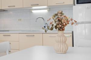Apartment With a Garden