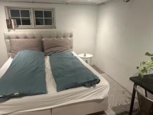 Renovated Basement Apt In Gentofte