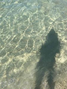 Dimora Guarini