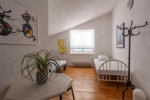 Villa Sebastiana 12 persone