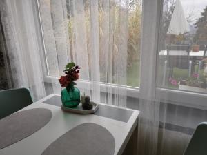 CASA MINI 5