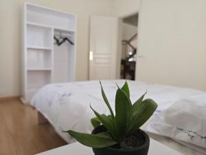 Maison Antananarivo Ambatomaro Chambre privée avec jardin