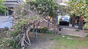 Casa Vacanza DOMUS