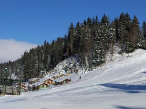 Chalets Chalet Daria : photos des chambres