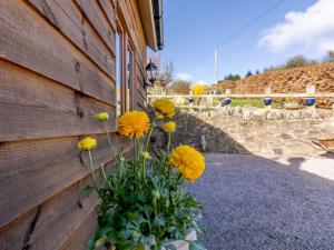 1 Bed in Lydney oc-43724