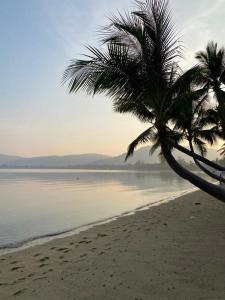 Arunta Samui
