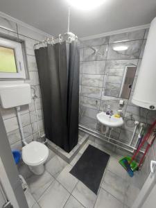 Apartmani Vlatkovic 2 Zavojsko jezero