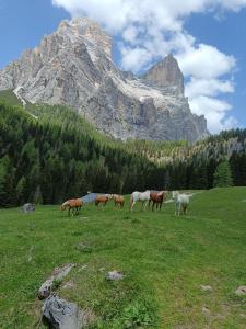 Stanza Cuori Malga Ciauta