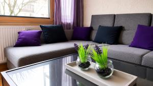 Dachstein Adventure Holiday Apartment