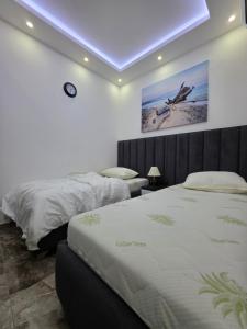 Apartment Ladies Beach