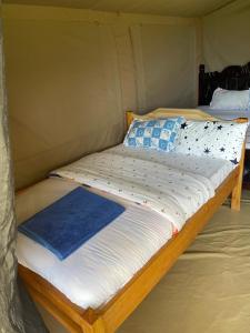 Saitotimara Safaris