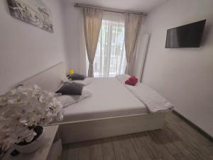 WaterFront Premium 1BR - Mamaia Nord Resort Piscine Restaurants Plaja langa