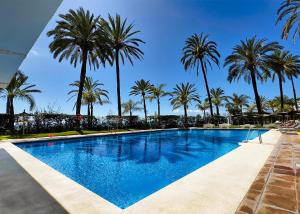 Skol 225 - Beachfront studio in Marbella - Terrace & Pool