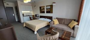 Apartament Diva Rosa - Panorama z aneksem kuchennym