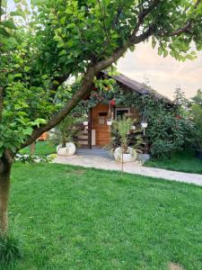 Cabana Sorina