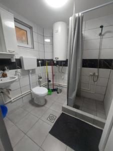 Apartmani Vlatkovic 1 Zavojsko jezero