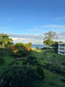 Jambo Luxury Living