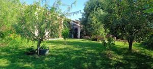 Sa Teria Village - Camere Deluxe - img19