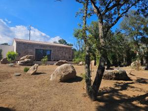 Domaine Campo Stellato