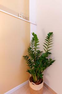 Montellino's Suite Oro img21
