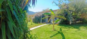 Sa Teria Village - Camere Deluxe - img21