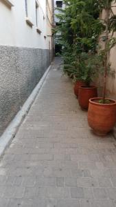 Iline Riad Fes