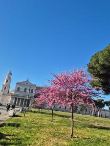 Lorehouserome