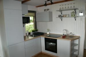 Kretowiny - domek REDA