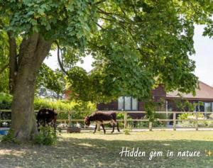 Modern 2 bed home in idyllic location sleeps 6 Superfast WiFi with onsite Gym