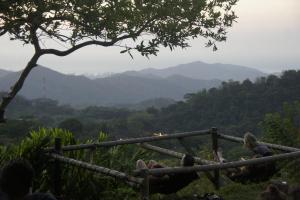 Hostal Vista Verde Minca
