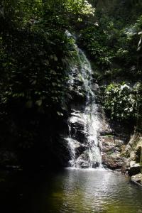 Hostal Vista Verde Minca
