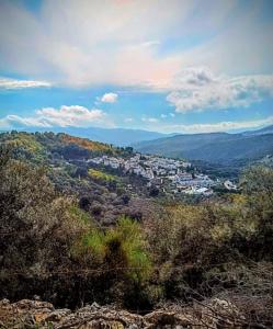 Casa rural el duende de parauta" serranía de RONDA"