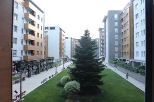 New Belgrade nest A blok