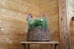 Sonnseite in Punschern