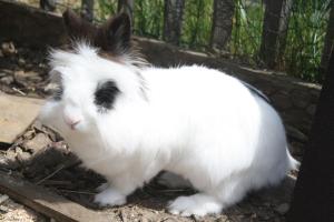 Sonnseite in Punschern