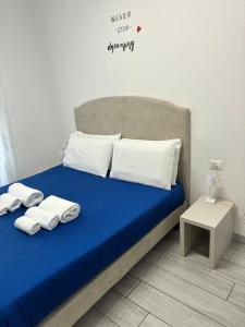 Cavallerizza home