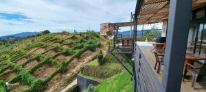 Chalet Star