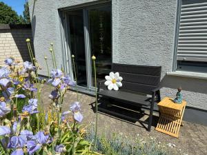 Ferienwohnung -Diemelaue-
