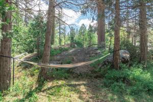 Harmony Hideaway Hammocks Creek Sounds