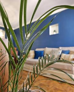 Cómodo departamento en Nueva Córdoba con amplia terraza y asador privado