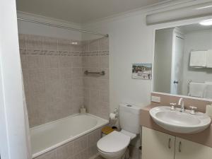 The brumby by the lake- Horizons Lake Jindabyne