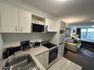 The brumby by the lake- Horizons Lake Jindabyne