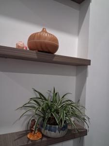 Chung cư mini Ánh Dương xã Vân Canh Hoài Đức