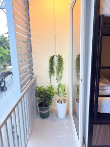 Moonleaf Hostel Koh Phangan