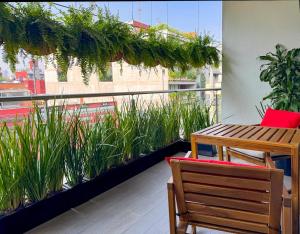 Spacious and bright 3-bedroom apartment in Roma Norte