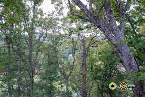 Senedo Springs Condo #1-301